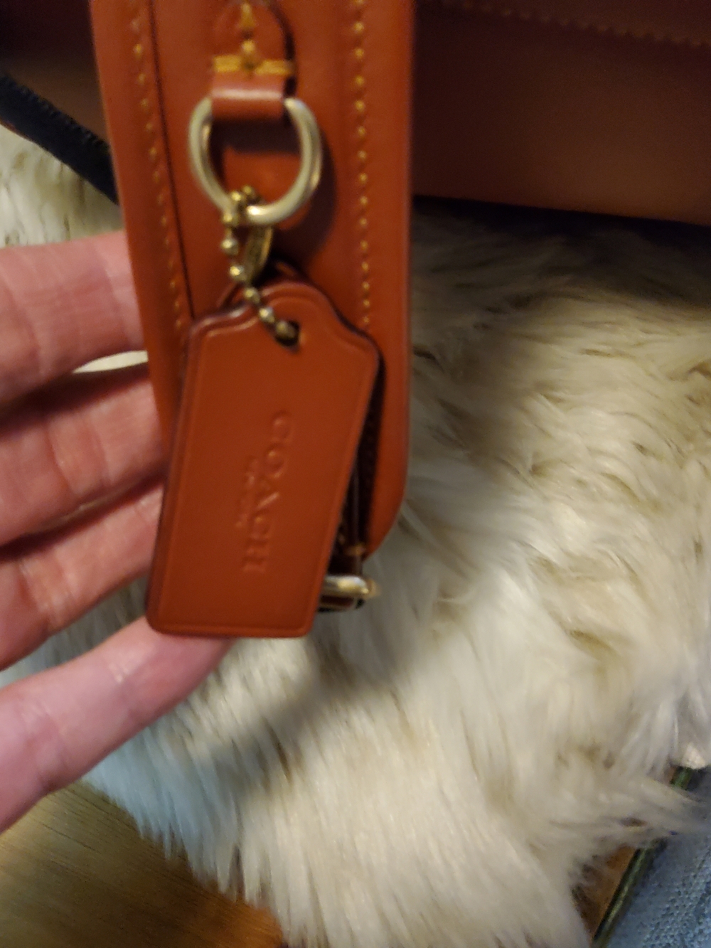 Coach Charter Backpack C8847 Beyond EUC - Picture 7 of 16